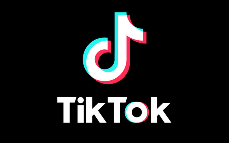 ஜனாதிபதி தேர்தலின் போது தவறான தகவல்களை தடுப்பதற்கு TikTok நடவடிக்கை