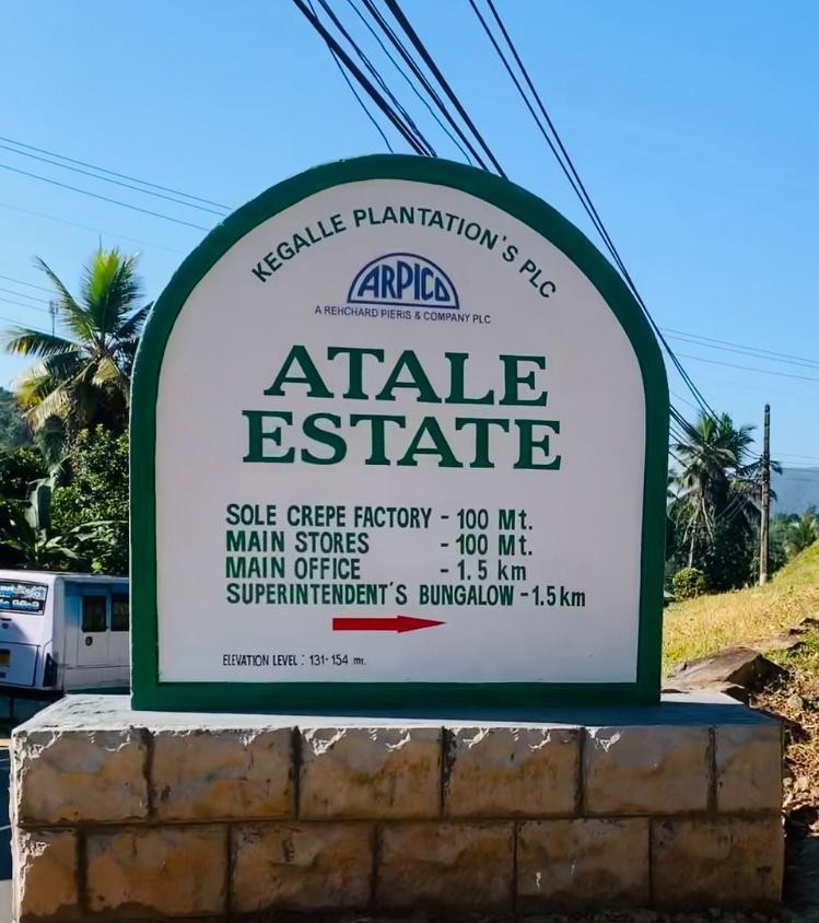 அட்டாலே எஸ்டேட்: இலங்கையின் மிகப்பெரிய ரப்பர் தோட்டத்தின் நூறாண்டு நிர்வகிப்பு மற்றும் நிலைத்தன்மை