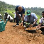 ශ්‍රී ලංකාවේ තේ කර්මාන්තය මධ්‍ය කඳුකරයේ ශාඛ සහ සත්වයින් සංරක්ෂණයේ පෙරමුණ ගනී