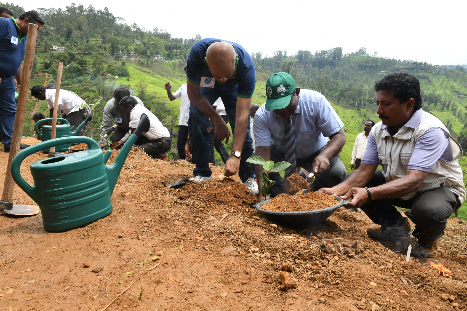 ශ්‍රී ලංකාවේ තේ කර්මාන්තය මධ්‍ය කඳුකරයේ ශාඛ සහ සත්වයින් සංරක්ෂණයේ පෙරමුණ ගනී