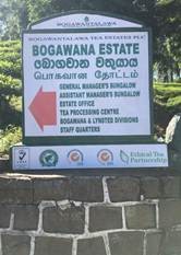 Golden Valleysஇல் இருந்து பசுமை எதிர்காலம் வரை – போகவானா தோட்டத்தின் பயணம்