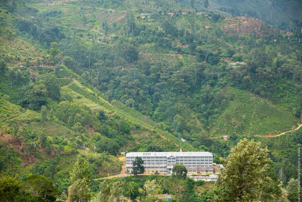 කැනවරෙල්ලා වතුයාය – 1880 සිට පැවත එන භූමිය, ජනතාව සහ උරුමය පෝෂණය කිරීම