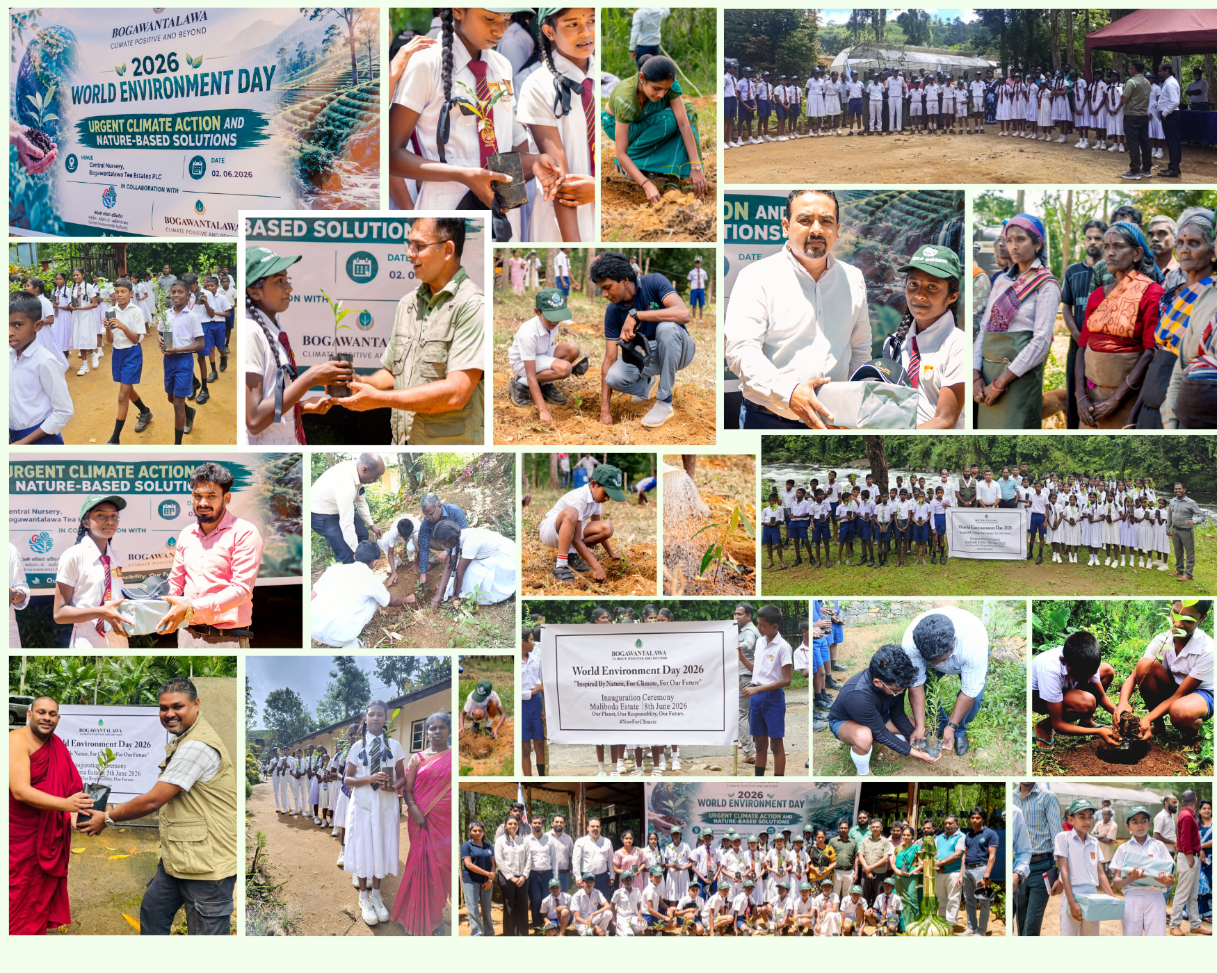 Bogawantalawa Tea Estates PLC Advances Climate Positive and Net Zero Leadership through World Environment Week 2026