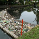 Scalable capture: Sri Lanka’s Marine Plastic Problem Is Compounding. So Is the Response.