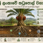 විද්‍යාත්මක සත්‍යතාව සහ මහජන මතය, ශ්‍රී ලංකාවේ කටුපොල් (ඔයිල් පාම්) වගාවේ පස, පෝෂක, හා භූමි භාවිත බලපෑම් පිලිබඳ විමසුමක්