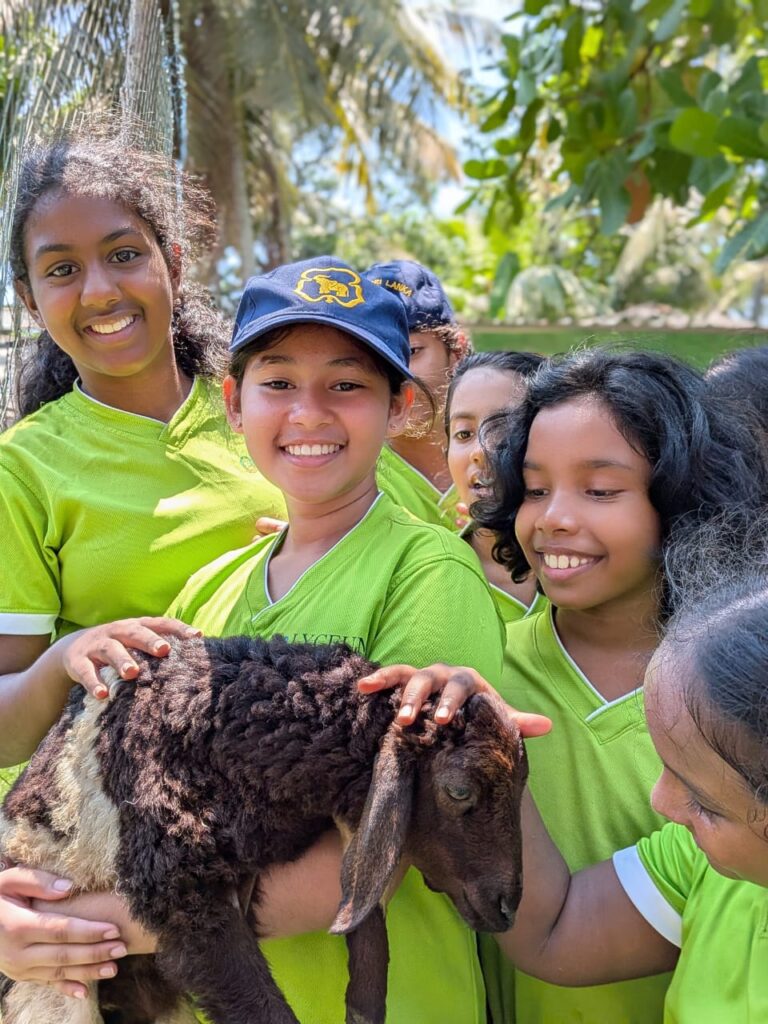 Panda Farmacy announces reopening following months of restoration after Cyclone Ditwah