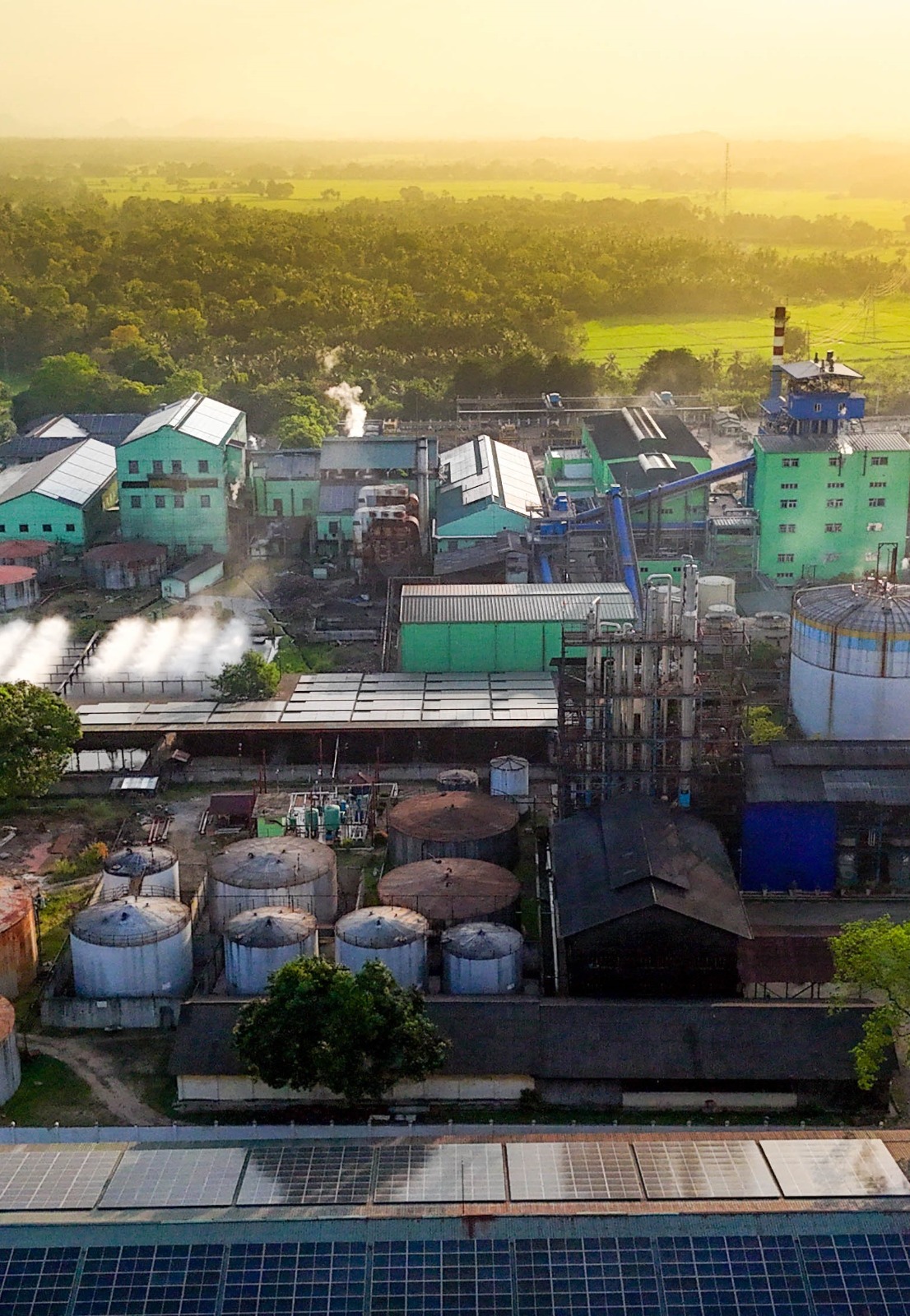 Gal Oya Plantations Strengthens the Future of Sri Lanka’s Sugar Industry and Farming Communities