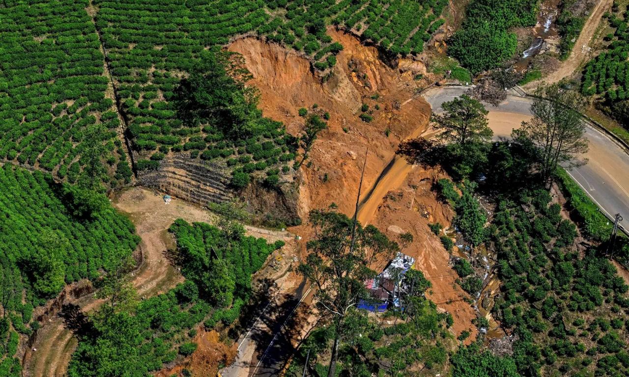 කලාපීය වැවිලි සමාගම් සහ වැවිලි මානව සංව¾ධන භාරය දිට්වා ආපදා ප්‍රතිසංස්කරණ සඳහා වූ තම කැපවීම යලිත් තහවුරු කරයි