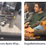 Hope Is Just a Scroll Away: How TikTok Is Turning Everyday Moments into a Global Movement