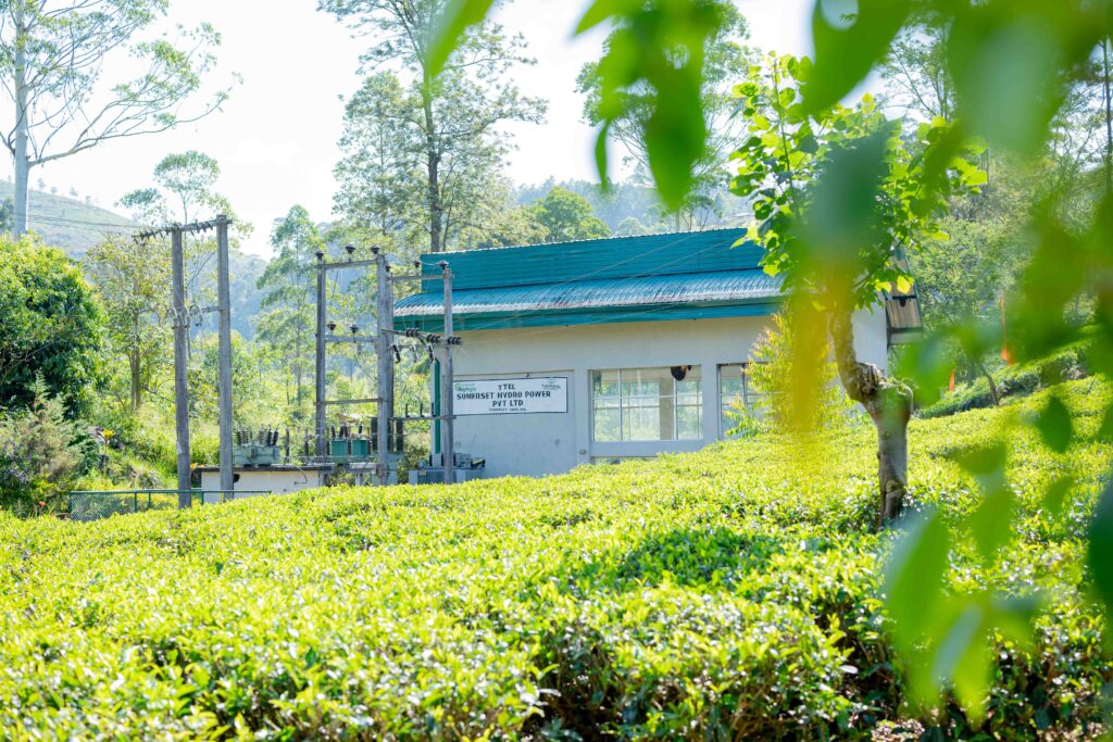 The Coca-Cola Foundation-backed Hydro-Powered Facility Sets New Benchmark for Circular Economy in Sri Lanka