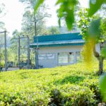 The Coca-Cola Foundation-backed Hydro-Powered Facility Sets New Benchmark for Circular Economy in Sri Lanka