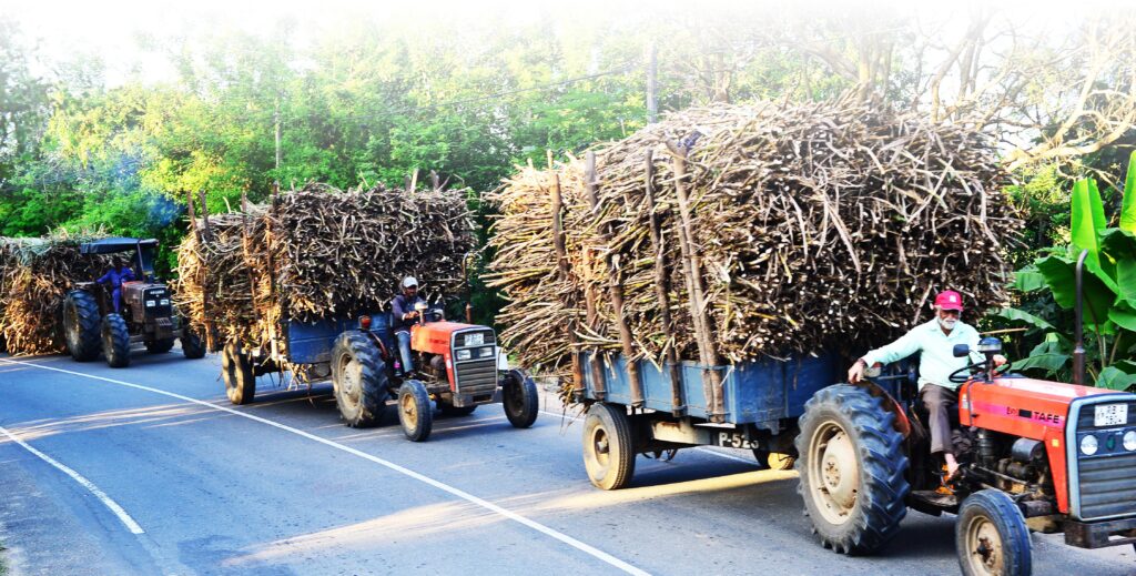 மீள் எழுச்சியையும் தாண்டி: ஒரு பொது-தனியார் கூட்டு முயற்சி, கைவிடப்பட்ட சர்க்கரை ஆலையை பிராந்தியத்தின் வாழ்வாதாரமாக மாற்றியது எப்படி?