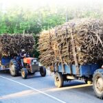 Beyond Revival: How a Public-Private Partnership Turned an Abandoned Sugar Factory Into a Regional Lifeline