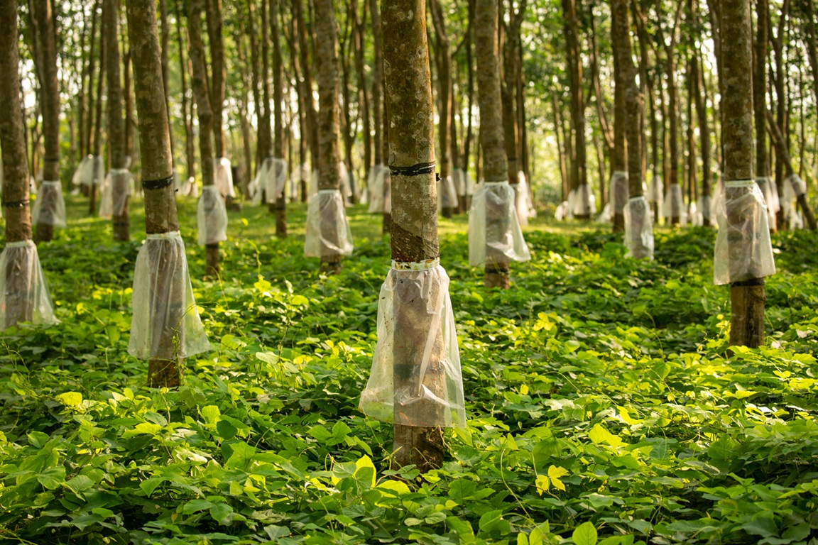 150 years of rubber: A milestone worth celebrating
